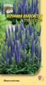 Вероника Голубая колосистая УУ