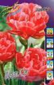 Тюльпан Али Баба 11/12 100 шт 