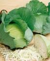 Капуста белокочанная Победа F1 СиО