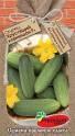 Огурец Хрустящий корнишон F1 ПС