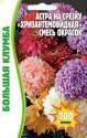 Астра Хризантемовидная сместь Реш