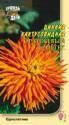 Цинния Оранжевый ацтек УУ