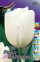 Тюльпан Роял Вирджин 11/12 2 шт х5