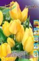 Тюльпан Жоржет 7 шт