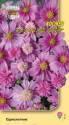 Космея Розовый шик УУ