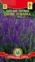 Сальвия Синяя лужайка Плз