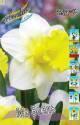 Нарцисс Ма Белль 10 шт