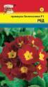 Примула Белиссима ред F1 УУ