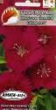 Гвоздика Цветок Зевса Скарлет Аэл
