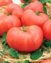 Помидоры Шедевр F1 СиО
