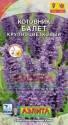 Котовник Балет крупноцветковый Аэл