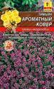 Тимьян Ароматный ковер Аэл