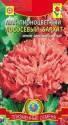 Мак Лососевый бархат пионоцветный Плз