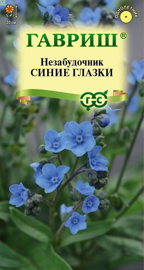 Незабудочник Синие глазки Гав