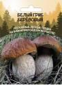 Грибы Белый Березовый УД