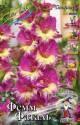 Гладиолус Фемм Фаталь 10/12 100 шт 