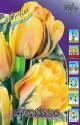 Тюльпан Акебоно 7 шт