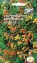 Эккремокарпус Волшебная флейта смесь Сед