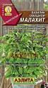 Базилик Малахит овощной Аэл
