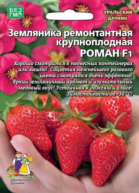 Земляника Роман Б/Ф УД