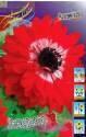Анемона Говернор 15шт