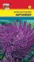 Астра Картхойзер коготковая УУ