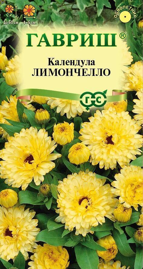 Календула Лимончелло Гав