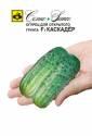 Огурец Каскадер F1 Сем