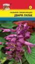 Сальвия Дварф лилак УУ