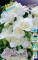 Фрезия Белая махровая 10 шт