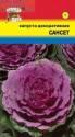 Капуста декоративная Сансет УУ