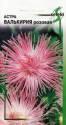 Астра Валькирия розовая ССО
