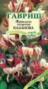 Жимолость татарская Казанова Гав