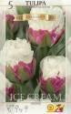 Тюльпан Айс Крим 12/+ 5 шт 