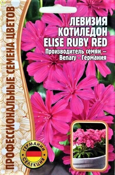 Левизия Котиледон Elise Ruby Red Реш