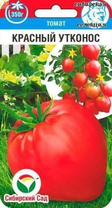Томат Красный Утконос СС