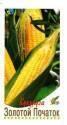 Кукуруза Золотой початок ССО