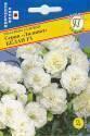 Гвоздика Лилипот Белая садовая F1 Прес