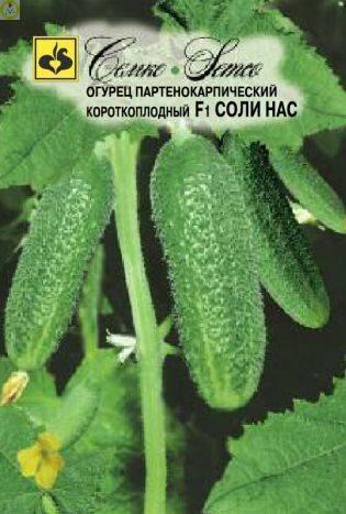 Огурец Соли нас F1 Сем