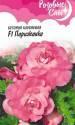 Бегония Парижанка клубн. амп серия Розовые сны F1 Гав