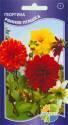 Георгина Ранняя пташка смесь Акв