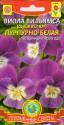 Виола Вильямса пурпурно-белая (серия Велюр) Плз