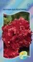 Петуния Валентина Акв