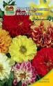 Георгина Махровая смесь Наш