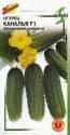 Огурец Каналья F1 ССО