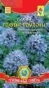 Гилия Голубые помпоны Плз