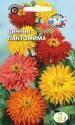 Цинния Пантомима изящная кактусовая Сед