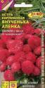 Астра Внученька Аленка карликовая Аэл