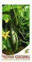 Кабачок Черный красавец ССО