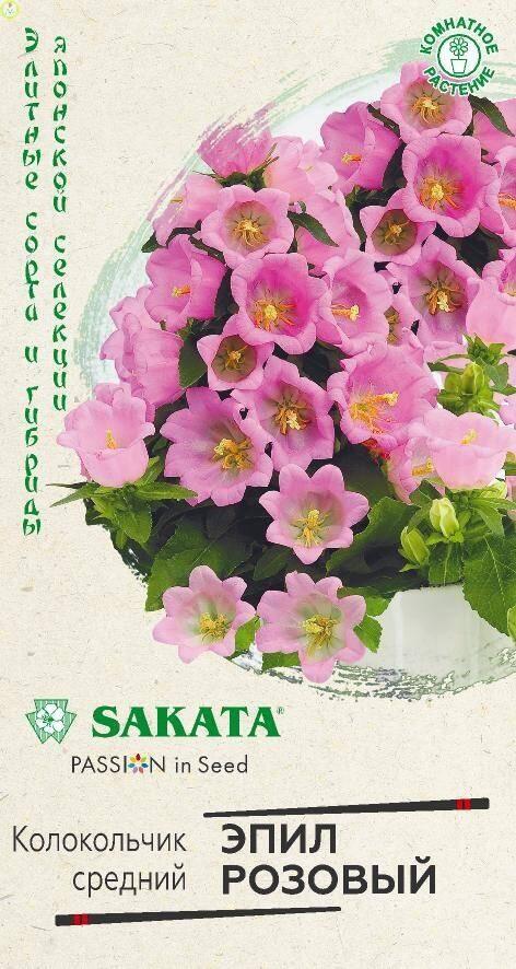 Колокольчик Эпил розовый серия Саката Гав